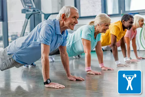 Gyms and Training Centers